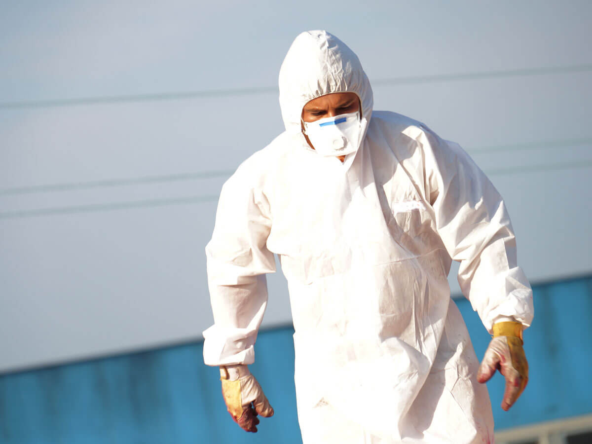 Camp Hill Asbestos Removal & Rubbish Removal